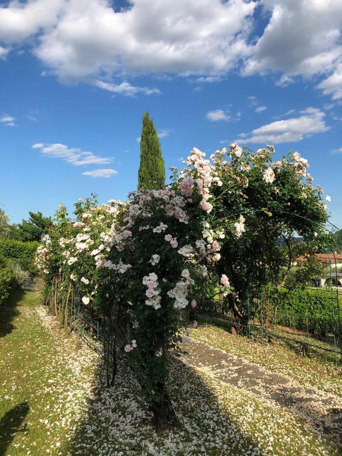 Отель Il Giardino Di Flora Buti Экстерьер фото
